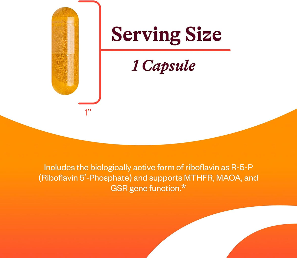 Seeking Health Riboflavin - Vitamin B2 for Energy Metabolism - 400 mg, 60 Capsules - görsel 3