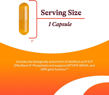 Seeking Health Riboflavin - Vitamin B2 for Energy Metabolism - 400 mg, 60 Capsules