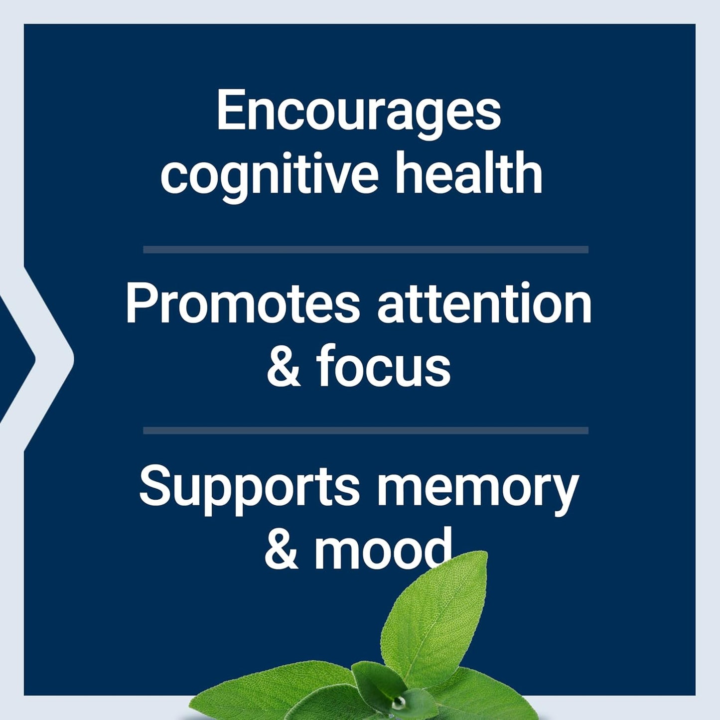 Life Extension Cognitex® Elite – Comprehensive Brain Supplement for Memory, Focus and Mood – with Sage, Blueberry, Ashwagandha, Phosphatidylserine, Vinpocetine – 60 Tablets - görsel 4