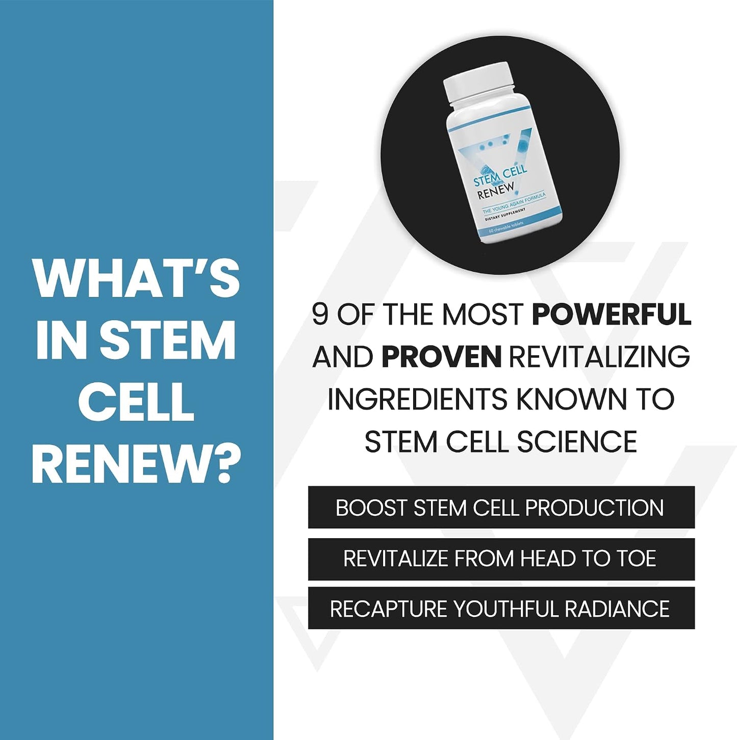 Stem Cell Renew – Support Your Natural Supply of Stem Cells (60 Capsules) - görsel 3