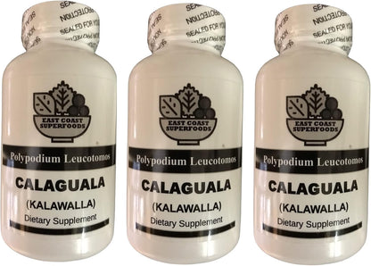 Calaguala 500 mg – 100 Capsules – Polypodium Leucotomos Supplement