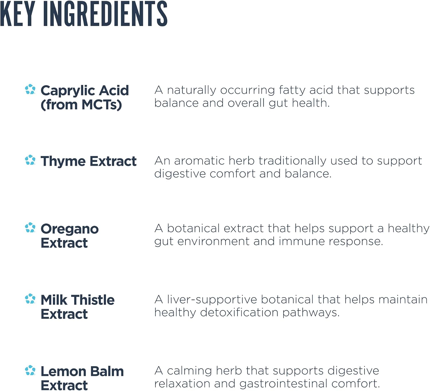 Revive MD Gut Health+ – Daily Gut Repair & Digestive Health Support - görsel 4