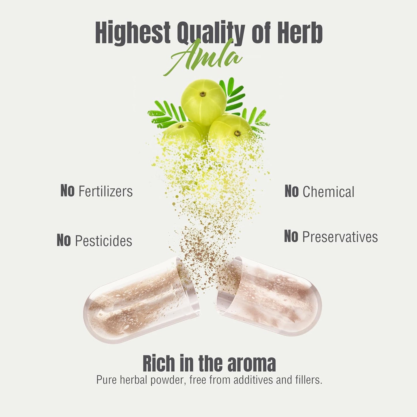 Herbsforever Amla (Indian Gooseberry) Powder - 950mg per Serving, 60 Veg Capsules - görsel 4