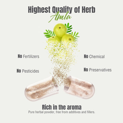 Herbsforever Amla (Indian Gooseberry) Powder - 950mg per Serving, 60 Veg Capsules