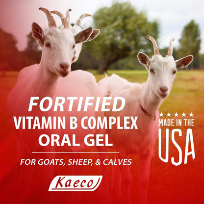 Vitamin B Complex Gel 30 ml