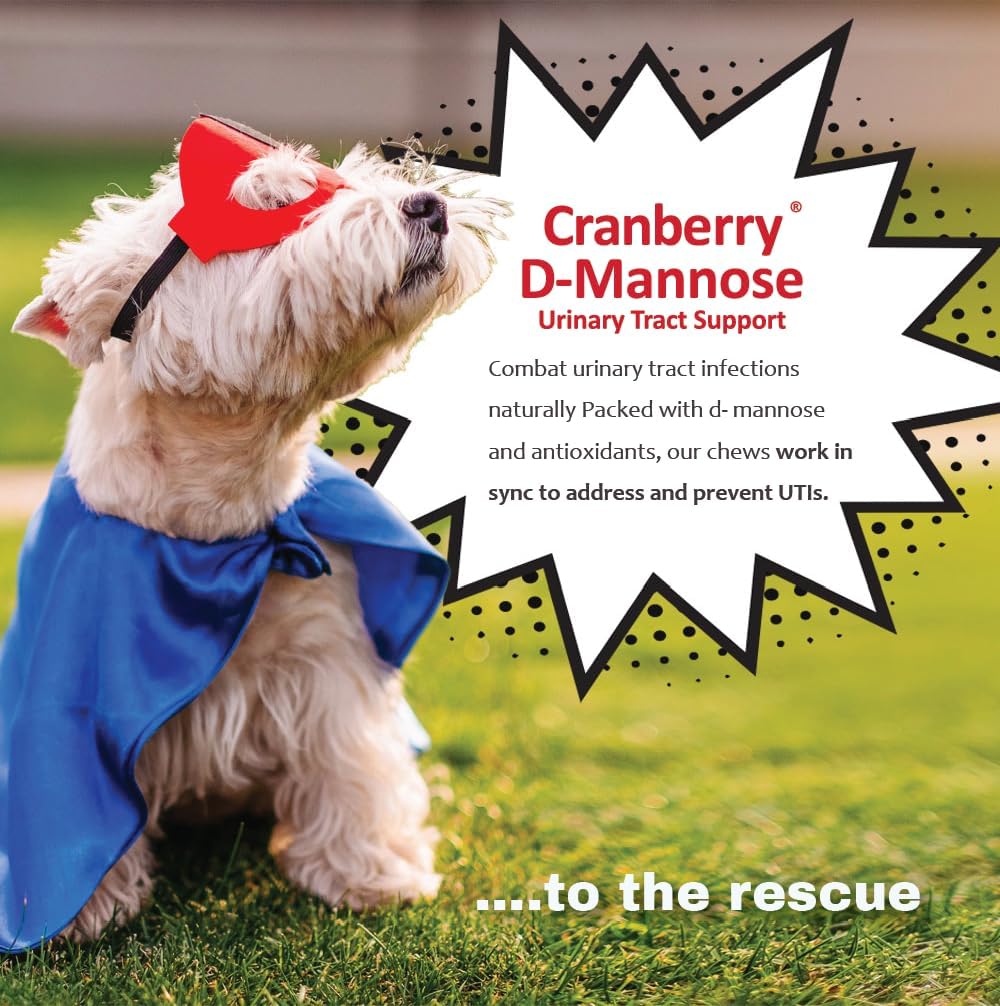 Pet Health Solutions Cranberry D-Mannose Urinary Tract Support Soft Chews for Cats and Dogs - görsel 8