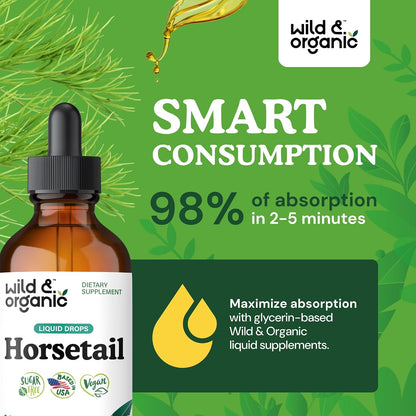 Wild & Organic Horsetail Herb Tincture - Hair, Skin and Nails Support - Liquid Horsetail Supplement - Vegan, Sugar & – Image 4