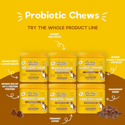 Vet Strength Probiotics for Dogs - Fast Relief for Diarrhoea, Gas & Upset Stomach - Maximum Gut, Immune & Allergy Support - Pumpkin Flavour Soft Chews for All Breeds, 90 Count