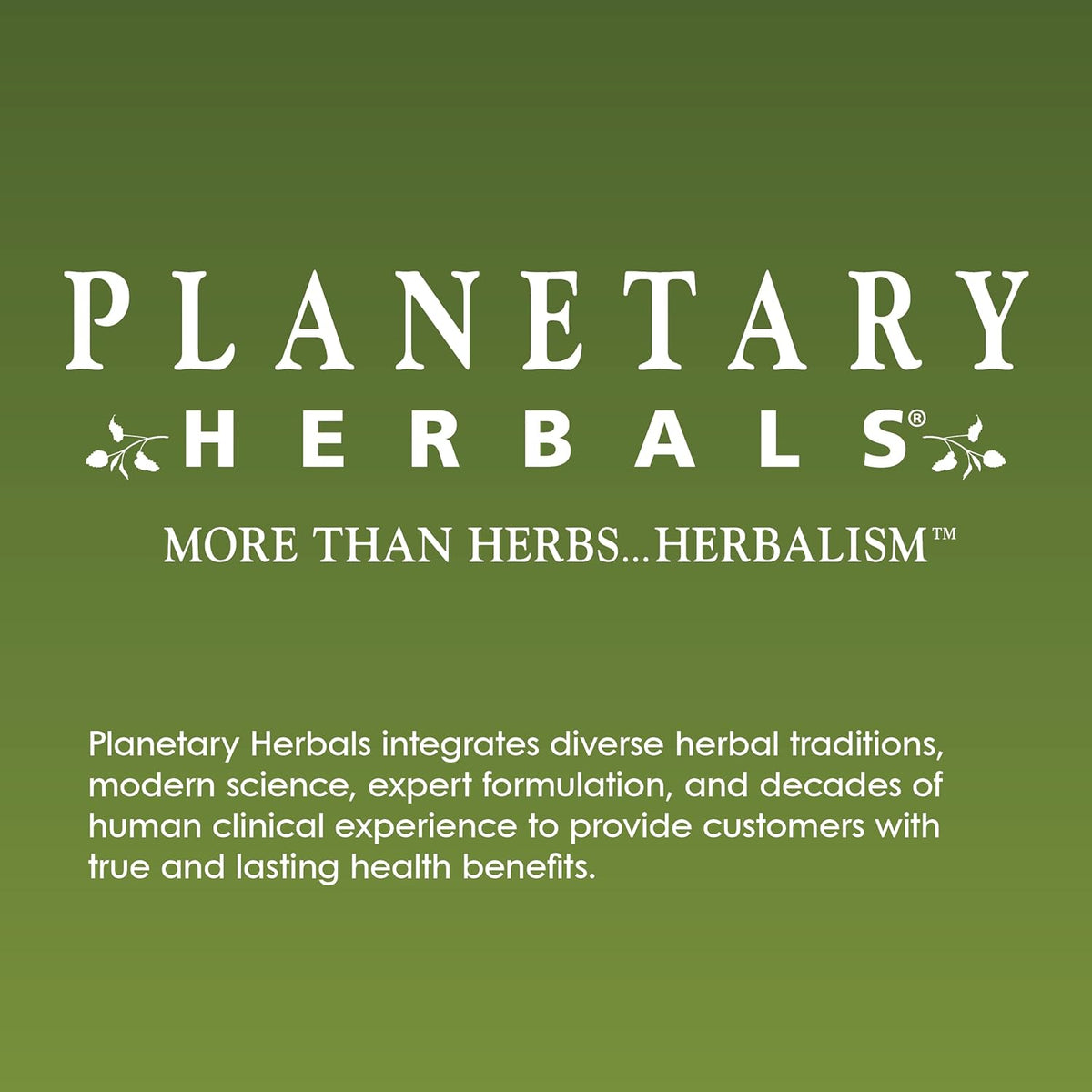 Planetary Herbals Full Spectrum Rhodiola Rosea Extract Tablets, 60 Count - görsel 4