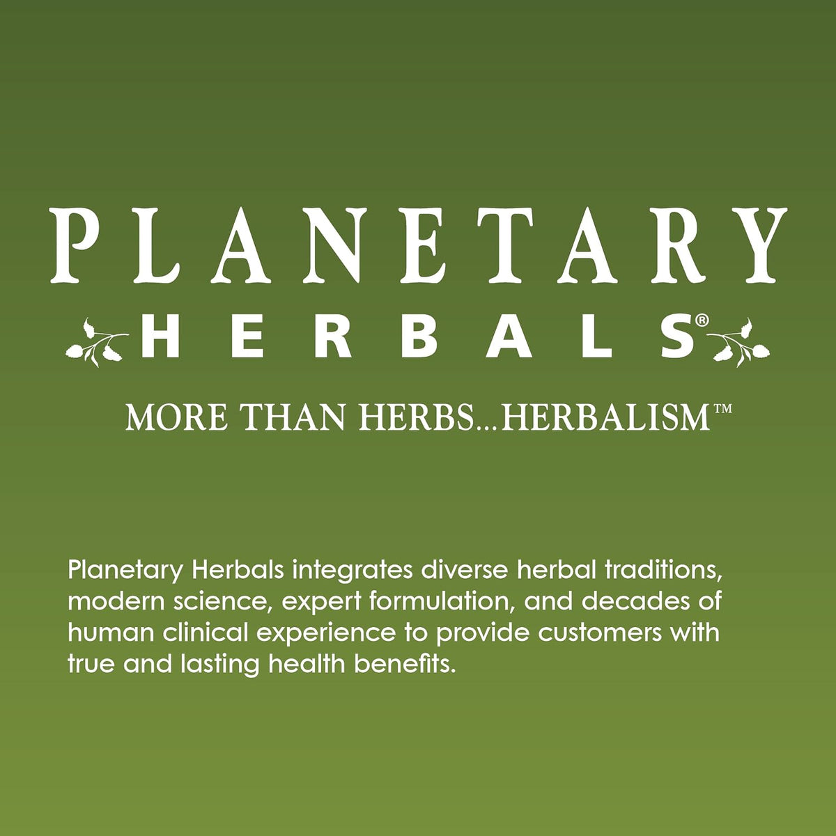 Planetary Herbals Rehmannia Endurance Tablets, 75 Tablets - görsel 5