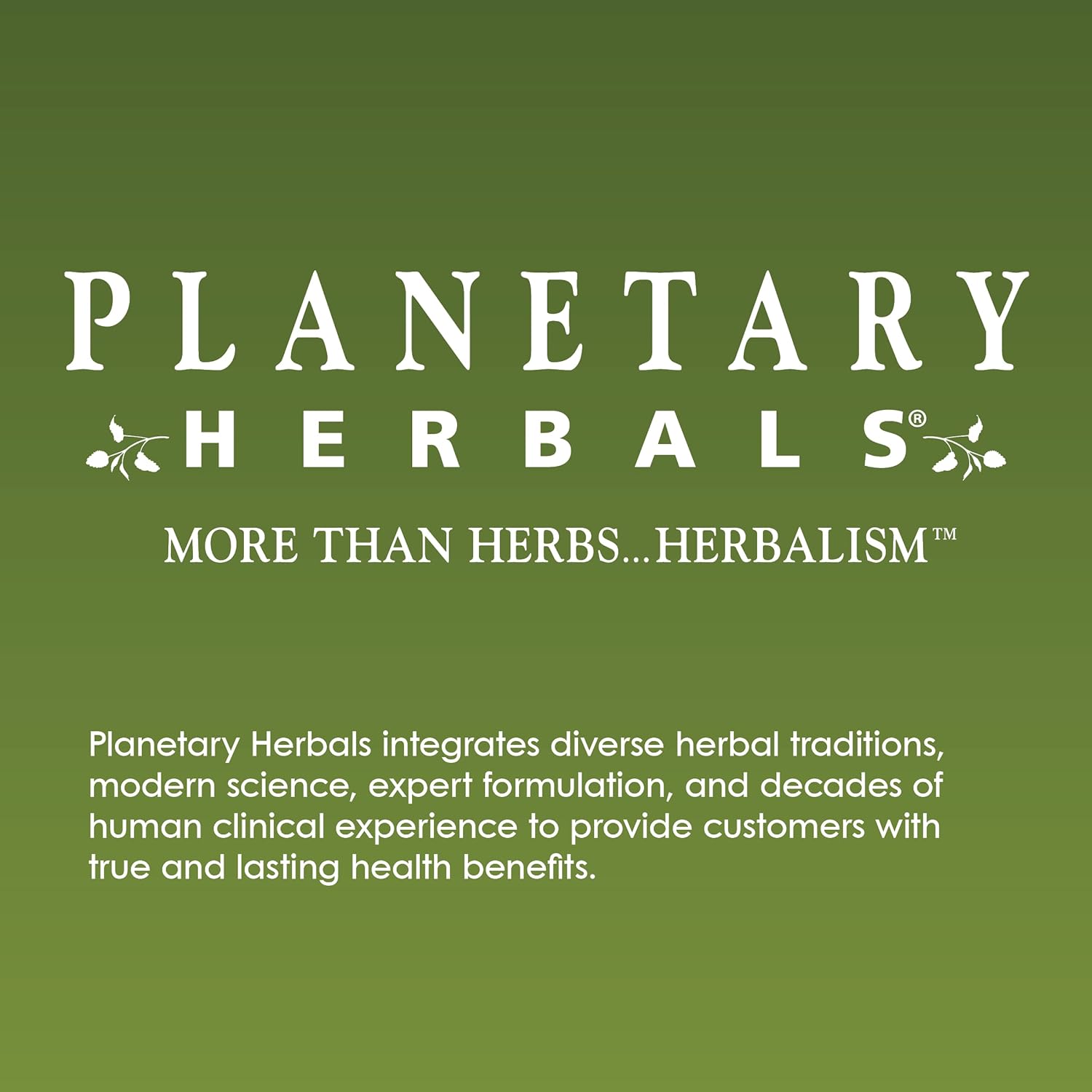 Planetary Herbals Calm Child for Active Children - 72 Tablets - görsel 4