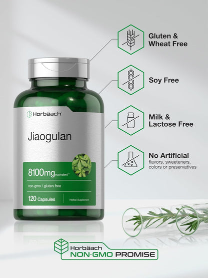 Horbäach Jiaogulan Capsules, 120 Capsules – Gynostemma Pentaphyllum Herbal Extract