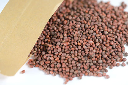New Packaging Raphani Semen Lai Fu Zi 170g