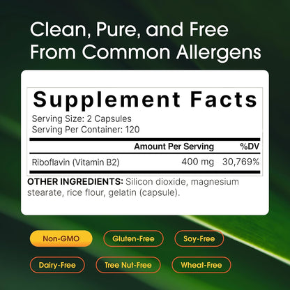 NatureBell Vitamin B2 (Riboflavin) 400mg - 240 Vegetarian Capsules - Energy & Cellular Health Supplement
