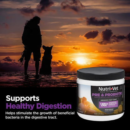 Nutri-Vet Pre & Probiotics for Dogs, Digestive Support, 120 Soft Chews (Liver & Cheese Flavour)