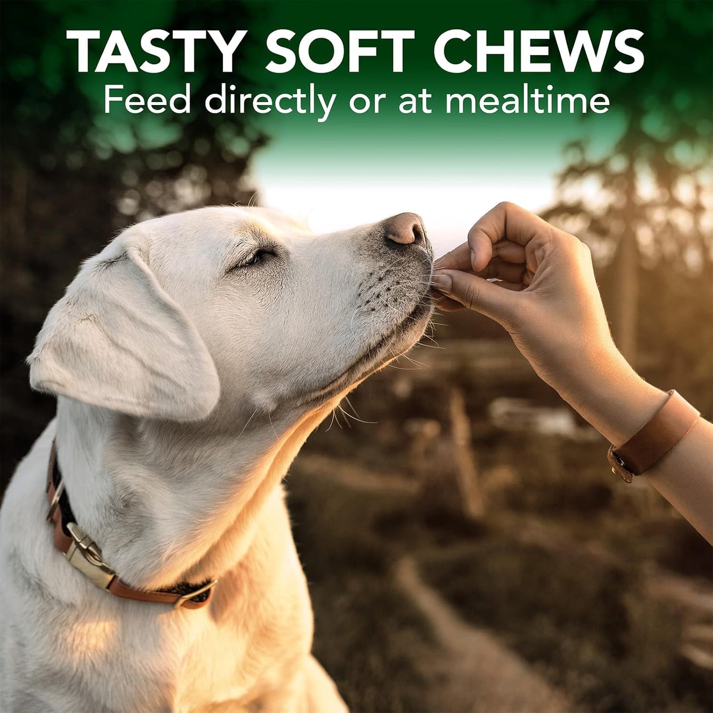 Vet's Best Seasonal Allergy Soft Chew Dog Supplements – 30 Day Supply - görsel 4