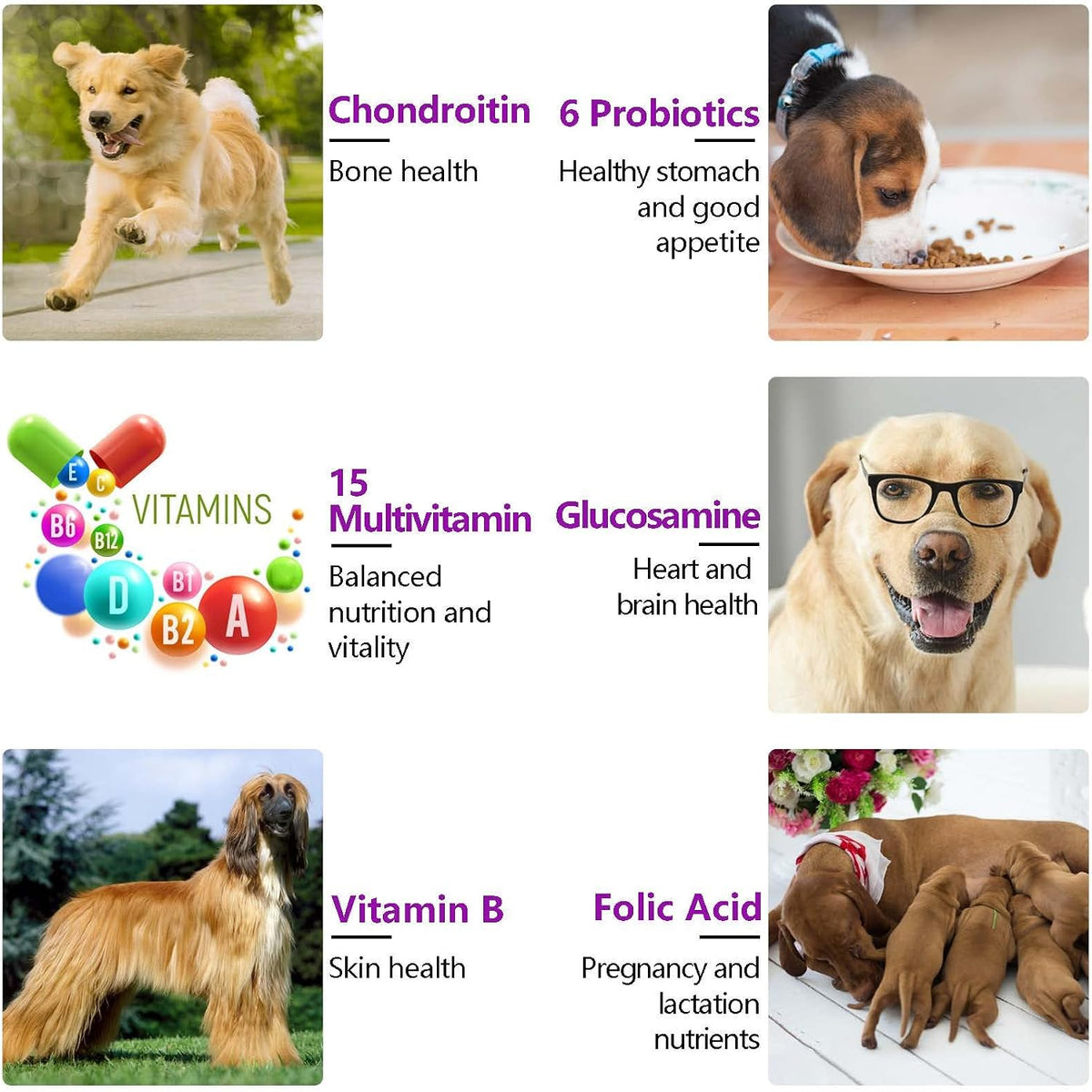 Dog Multivitamin Chewable, Dog Daily Vitamins and Supplements, 15-in-1 Complete Daily Supplement with Glucosamine & Probiotics – Duck Flavour, 150 Chews - görsel 6