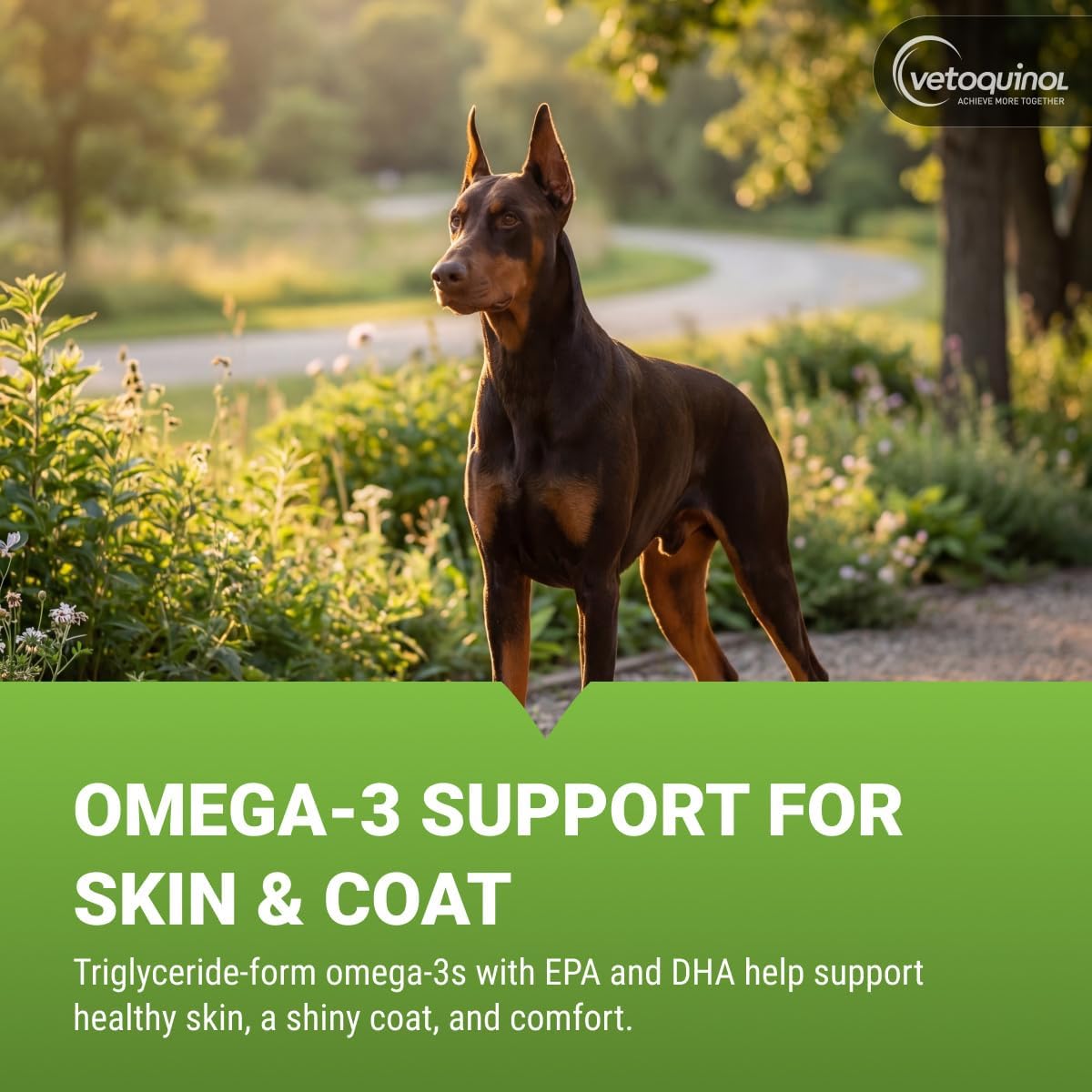 Vetoquinol Triglyceride Omega - Fish Oil for Dogs & Cats - 60 Capsules - görsel 2