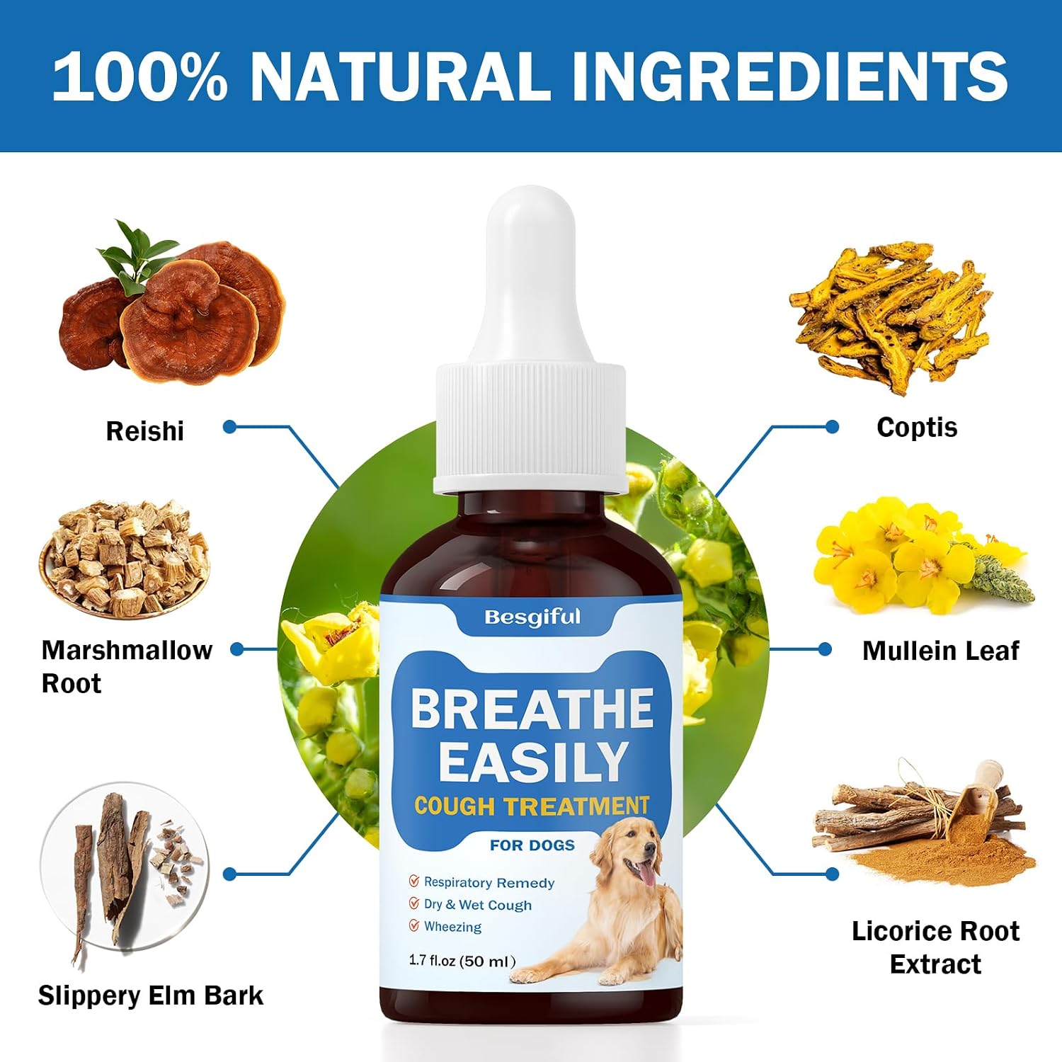 Besgiful Natural Herbal Trachea Support for Dogs – Cough Elixir with Mullein Leaf & Marshmallow - görsel 3