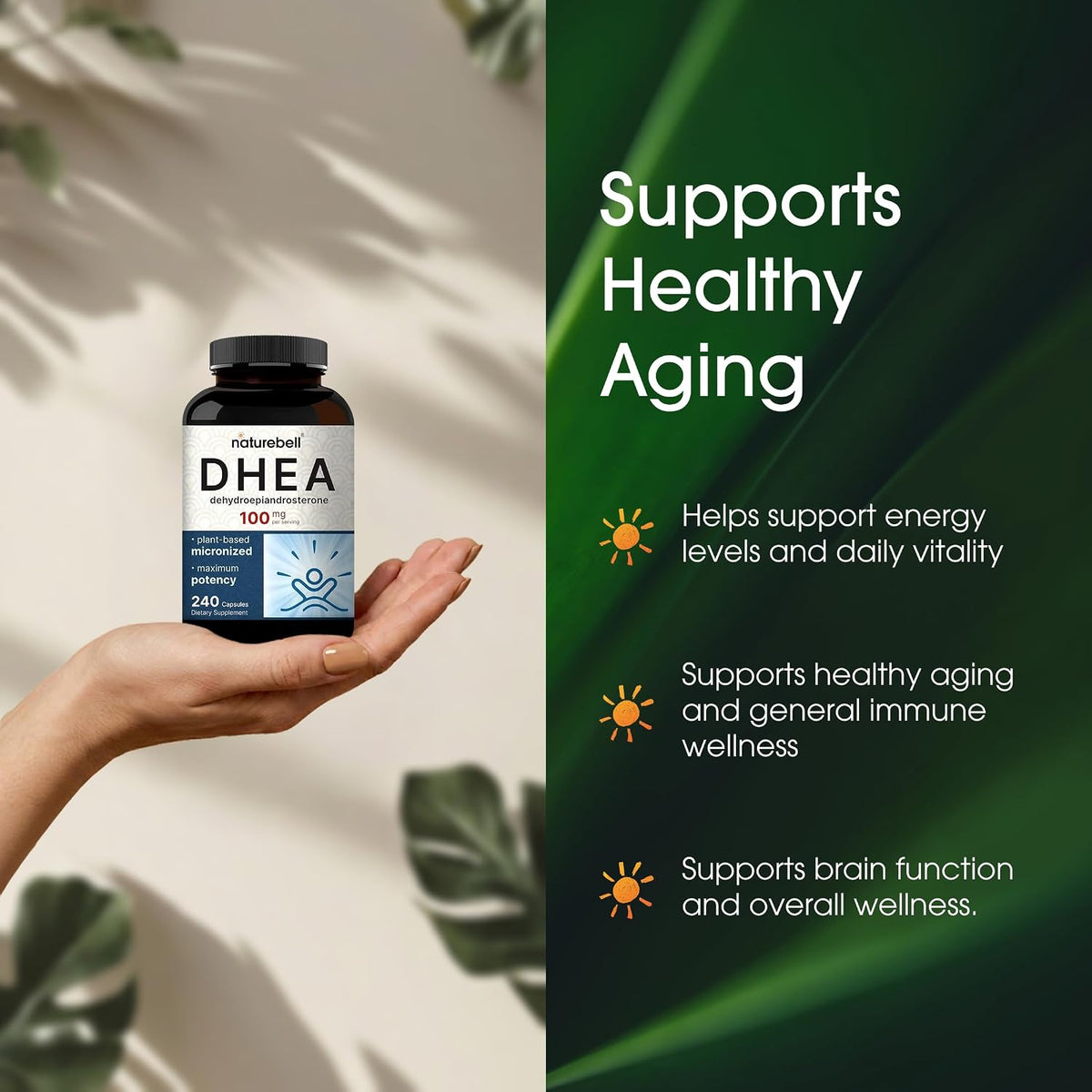 NatureBell DHEA 100mg - 240 Capsules - görsel 4
