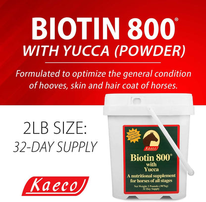 Biotin 800 Powder by Kaeco