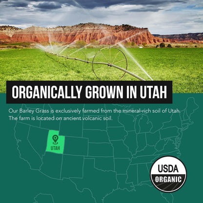 Organic Barley Grass Juice Powder - Grown in Volcanic Soil of Utah - Raw & BioActive Form, Cold-Pressed then CO2 Dried – Gluten-free, GMO free, Vegan - 150 g