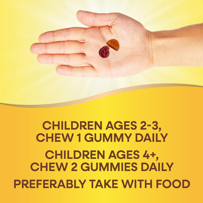Nature's Way Alive! Kids Zero Sugar Gummy Multivitamins - Berry Citrus - 60 Gummies