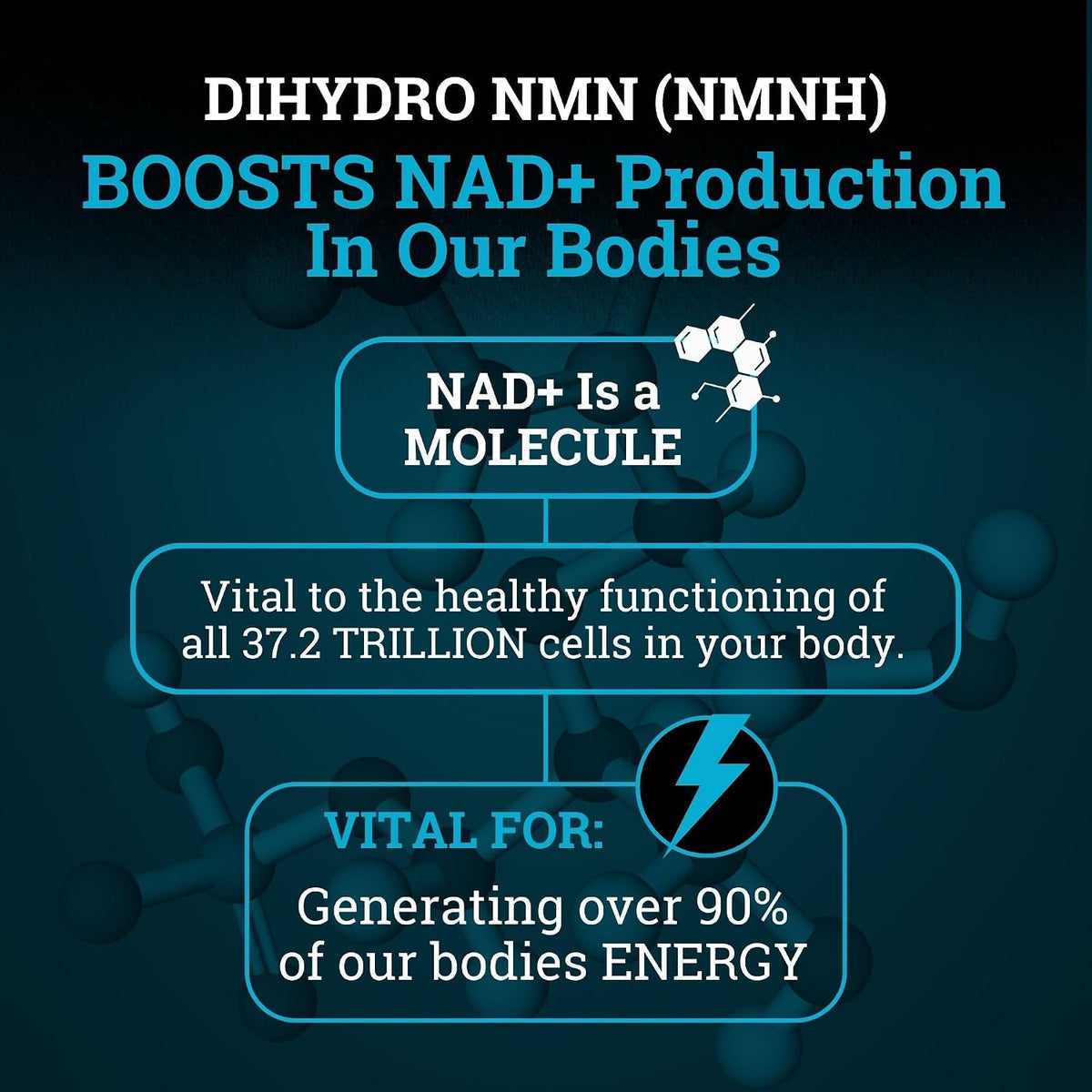 NMNH Supplement 250mg - Pure Dihydro-Nicotinamide Mononucleotide with BioPerine® - görsel 5