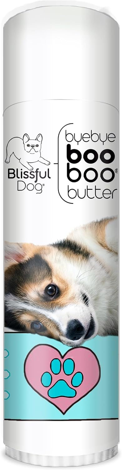 The Blissful Dog Corgi Booboo Butter – 14 g Tube - görsel 1