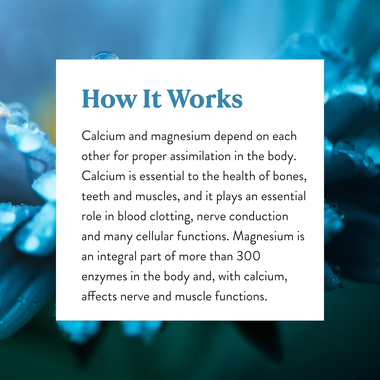 Nature's Sunshine Calcium-Magnesium SynerPro, 150 Tablets - görsel 6