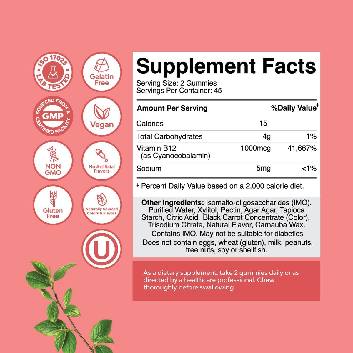 Natures Craft Vitamin B12 Gummies – Sugar-Free, 1000 mcg, 90 Count - görsel 7
