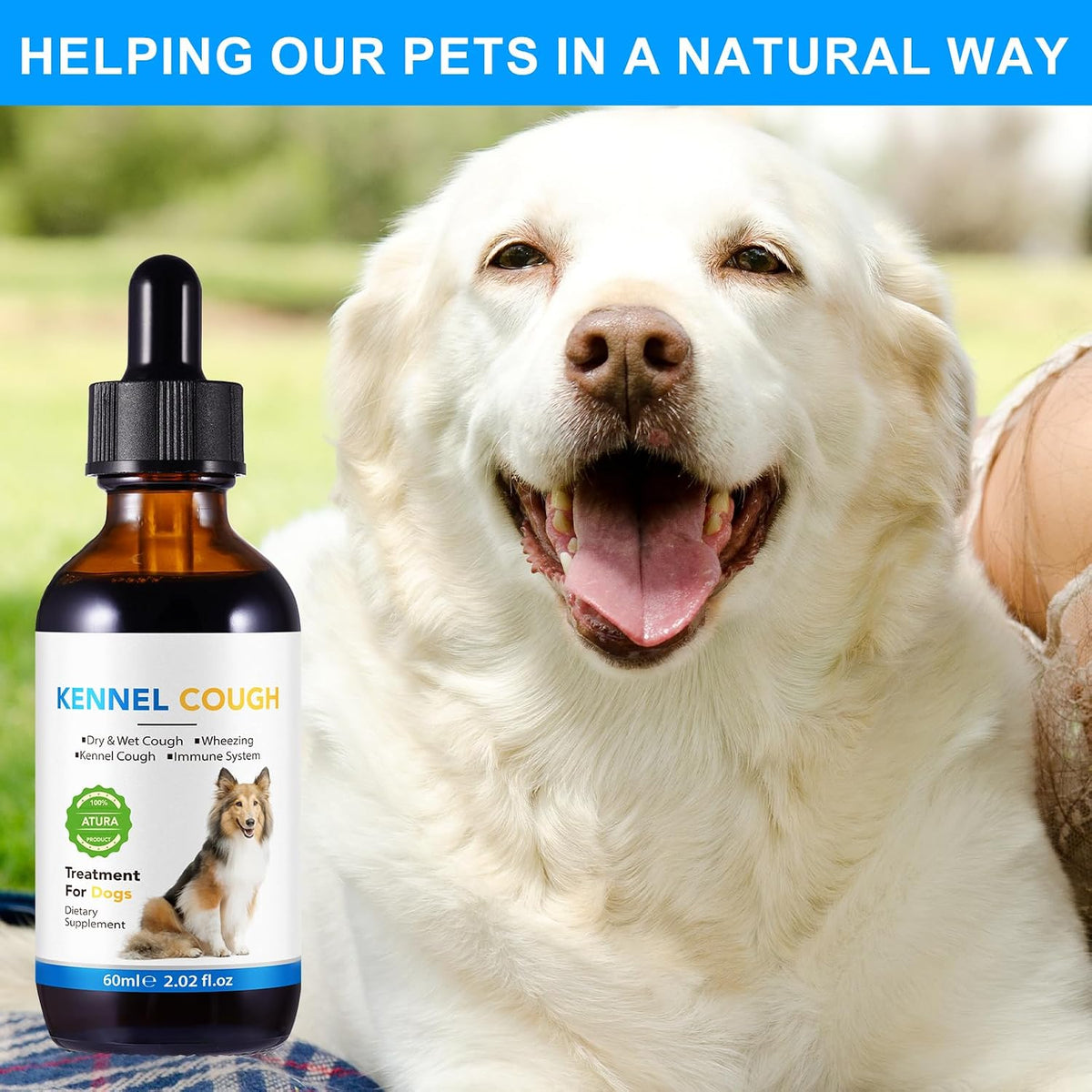 Dog Cough Support - Kennel Cough Drops for Dogs, 100% Natural Cough Supplement for Dogs, Allergy Support for Dogs, Herbal Drops for All Breeds & Sizes - görsel 7