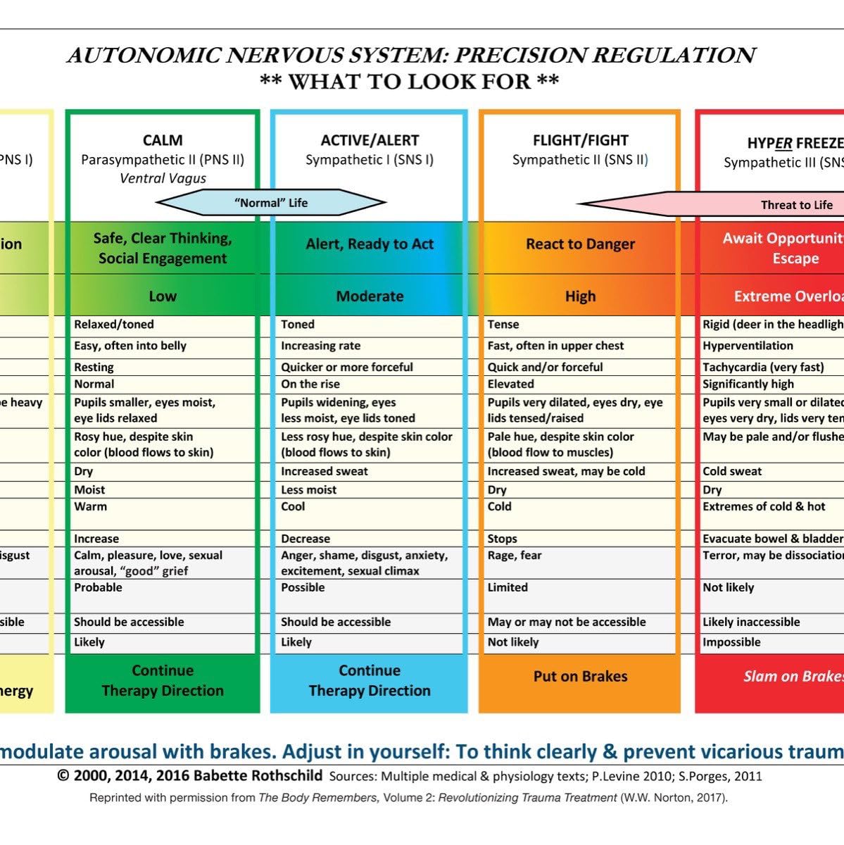 Laminated Autonomic Nervous System Table Card - görsel 1