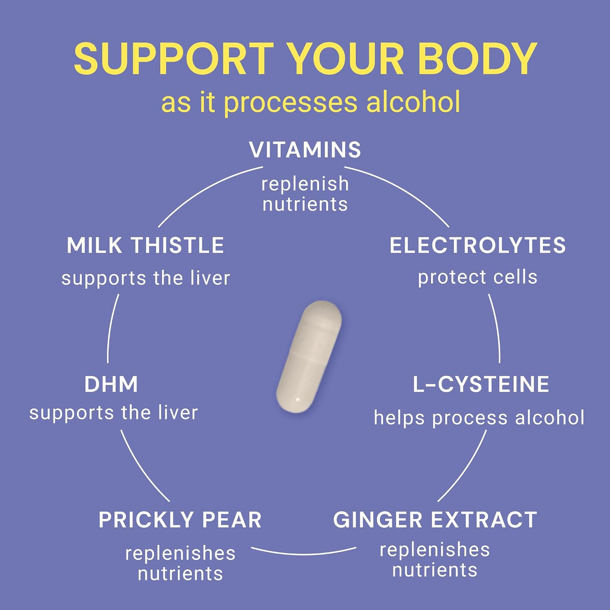 Blowfish Wingman | Supplement with DHM + L-Cysteine + Electrolytes | Feel Better the Morning After | Pre-Alcohol Support - görsel 4