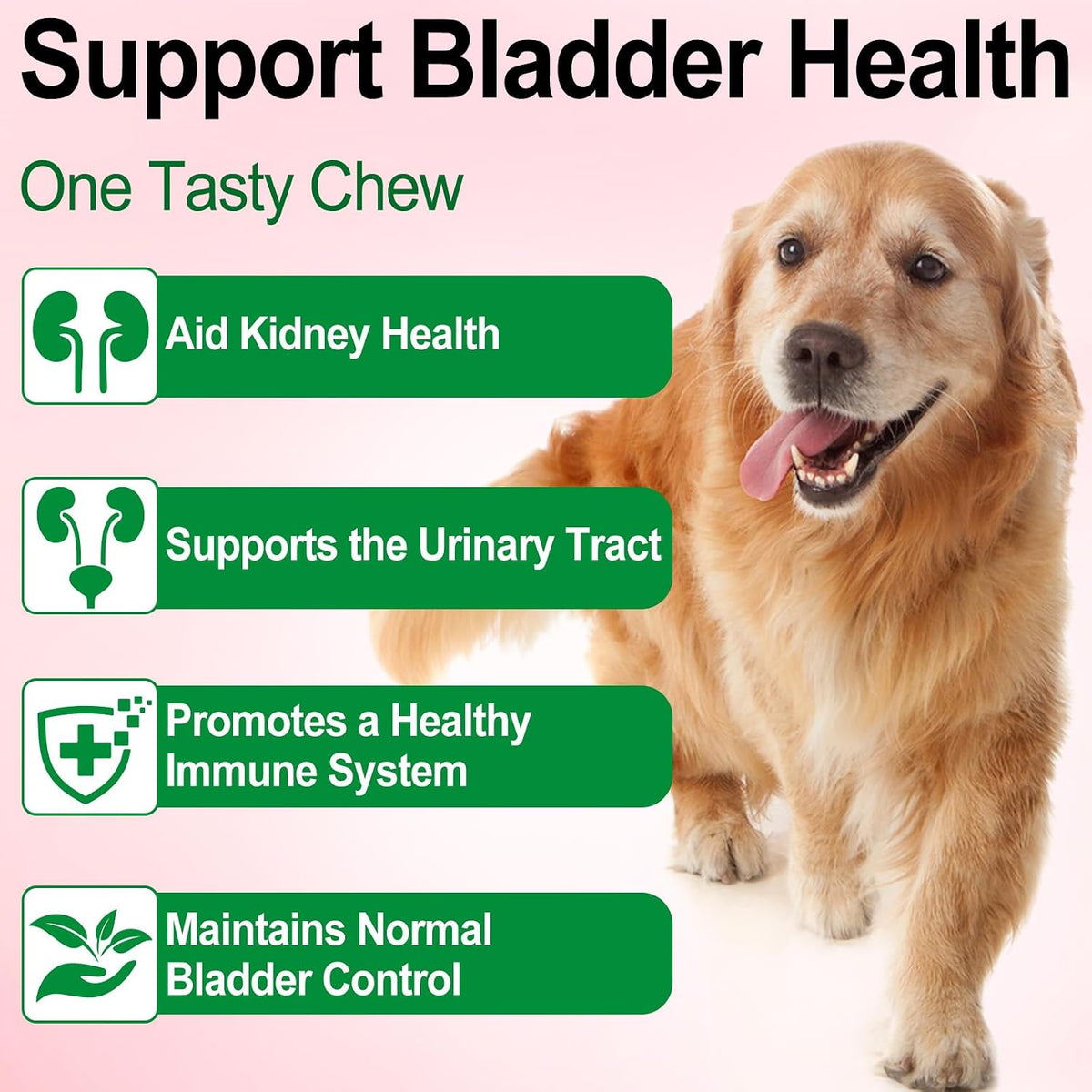 Urinary Tract Support Drops for Dogs – Herbal Formula with Cranberry and Pumpkin Seed, Bacon Flavour (60 ml) - görsel 2