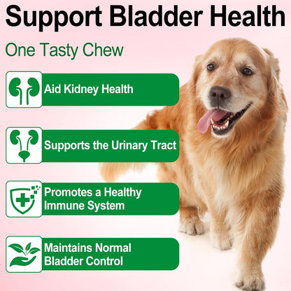Urinary Tract Support Drops for Dogs – Herbal Formula with Cranberry and Pumpkin Seed, Bacon Flavour (60 ml)