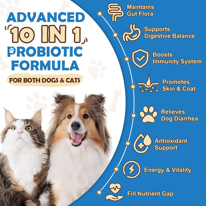 ZEBORA Probiotics for Dogs - Probiotic Powder with Pumpkin, Prebiotics & Enzymes, 6 Billion CFUs, Chicken Flavour (90 Scoops)