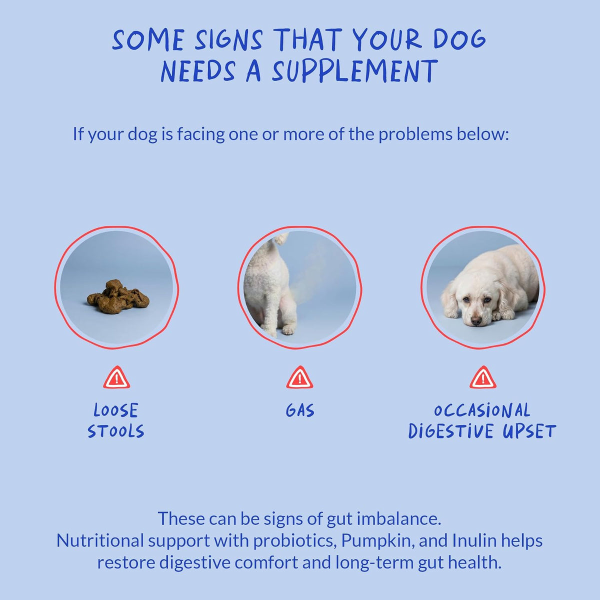 Probiotics for Dogs 90 Soft Chews – Digestive, Gut & Diarrhoea - görsel 5