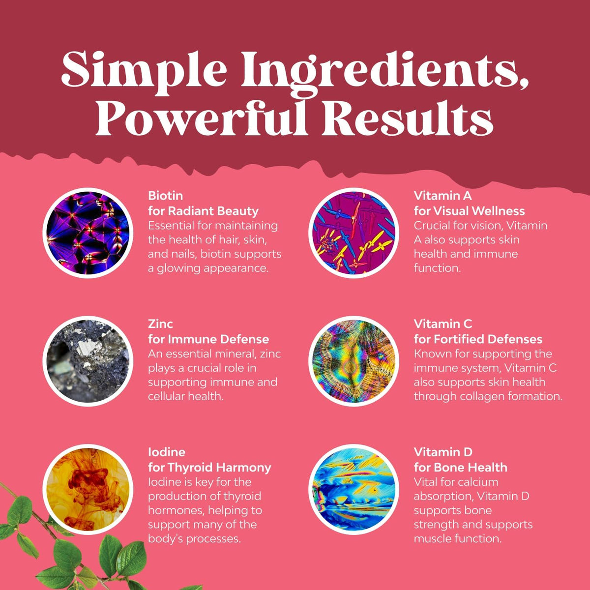 Natures Craft Women's Multivitamin Gummies - Daily Gummy Vitamins for Energy and Immune Support, 90 Count - görsel 3