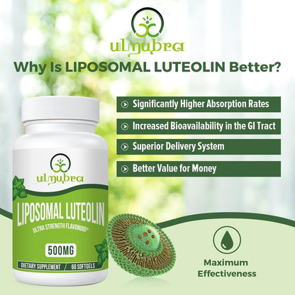 Ulmubra Liposomal Luteolin 500mg, Maximum Absorption, Potent Flavonoid, 60 Softgels, Luteolin Supplement, Non-GM, Gluten-Free
