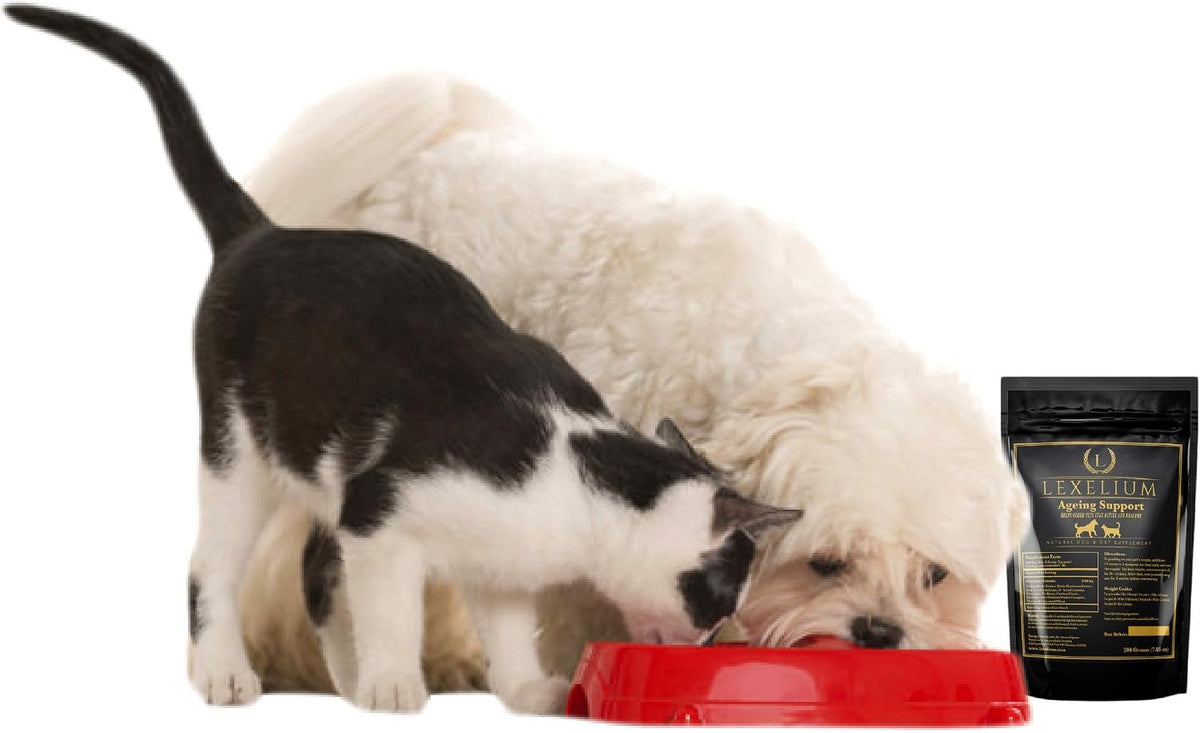Lexelium Nursing Supplement for Dogs and Cats - Lactation and Recovery Support - 200g - görsel 7