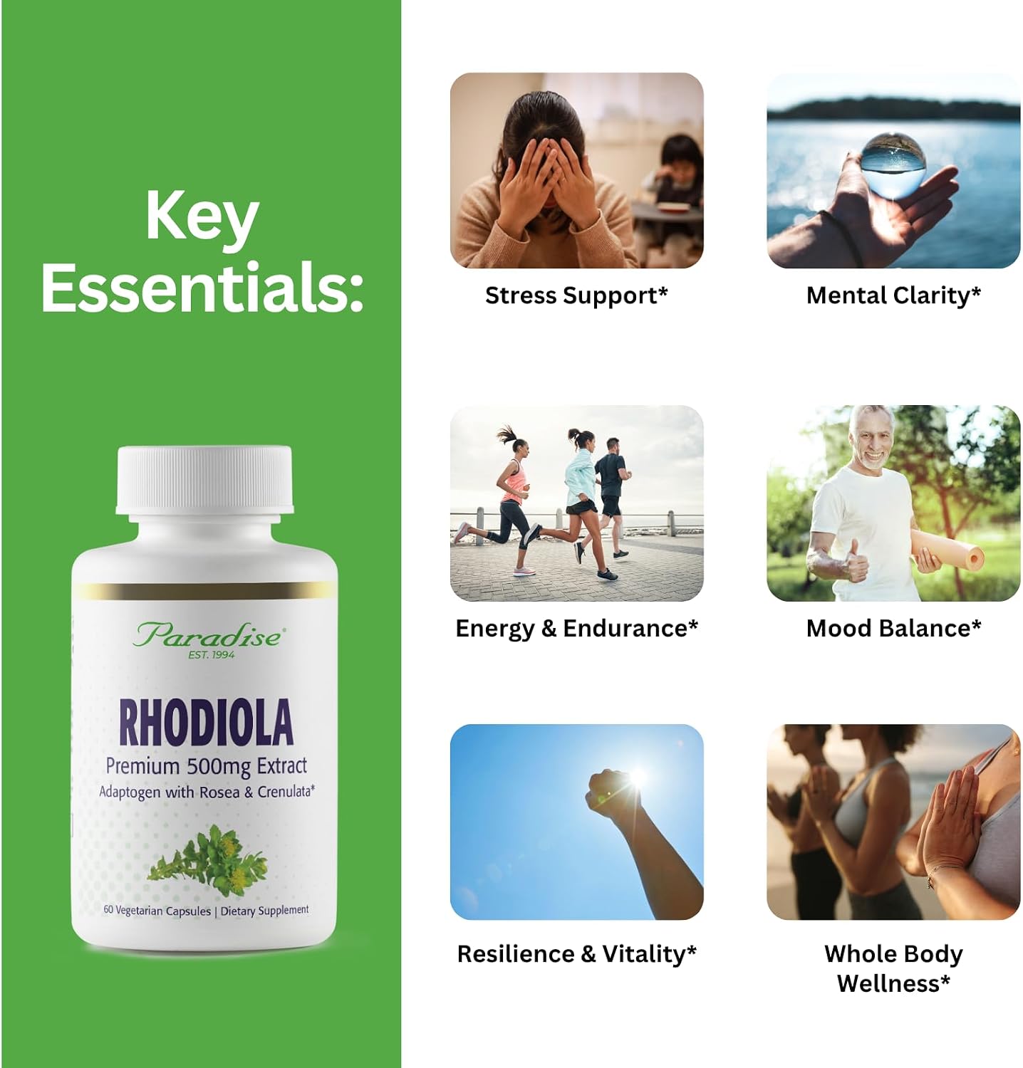 Paradise Herbs Rhodiola Extract 500mg, Adaptogen for Stress Resilience, Vegan, Non-GMO, Gluten Free, 60 Vegetarian Capsules - görsel 4