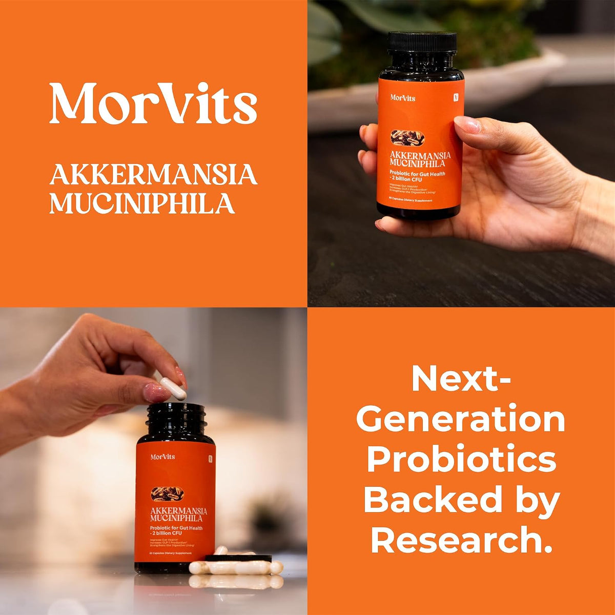 Morvits Akkermansia Probiotic with Prebiotic Fibre - 60 Capsules - görsel 7
