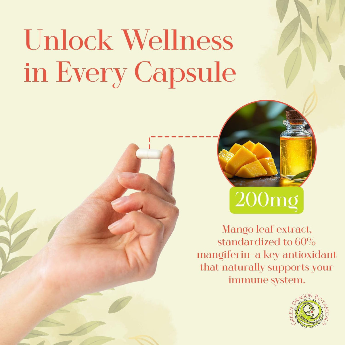 MangoForte Mango Leaf Supplement - 200 mg (60% Mangiferin) - 60 Capsules - Immune Health Support - görsel 3