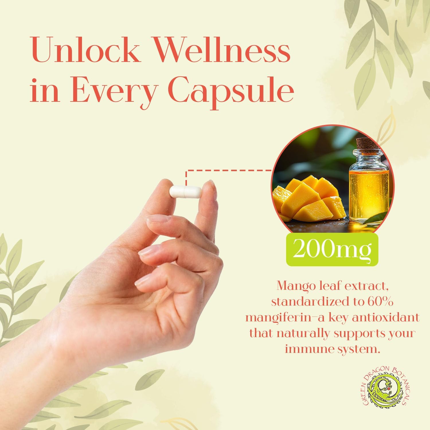 MangoForte Mango Leaf Supplement - 200 mg (60% Mangiferin) - 60 Capsules - Immune Health Support - görsel 3