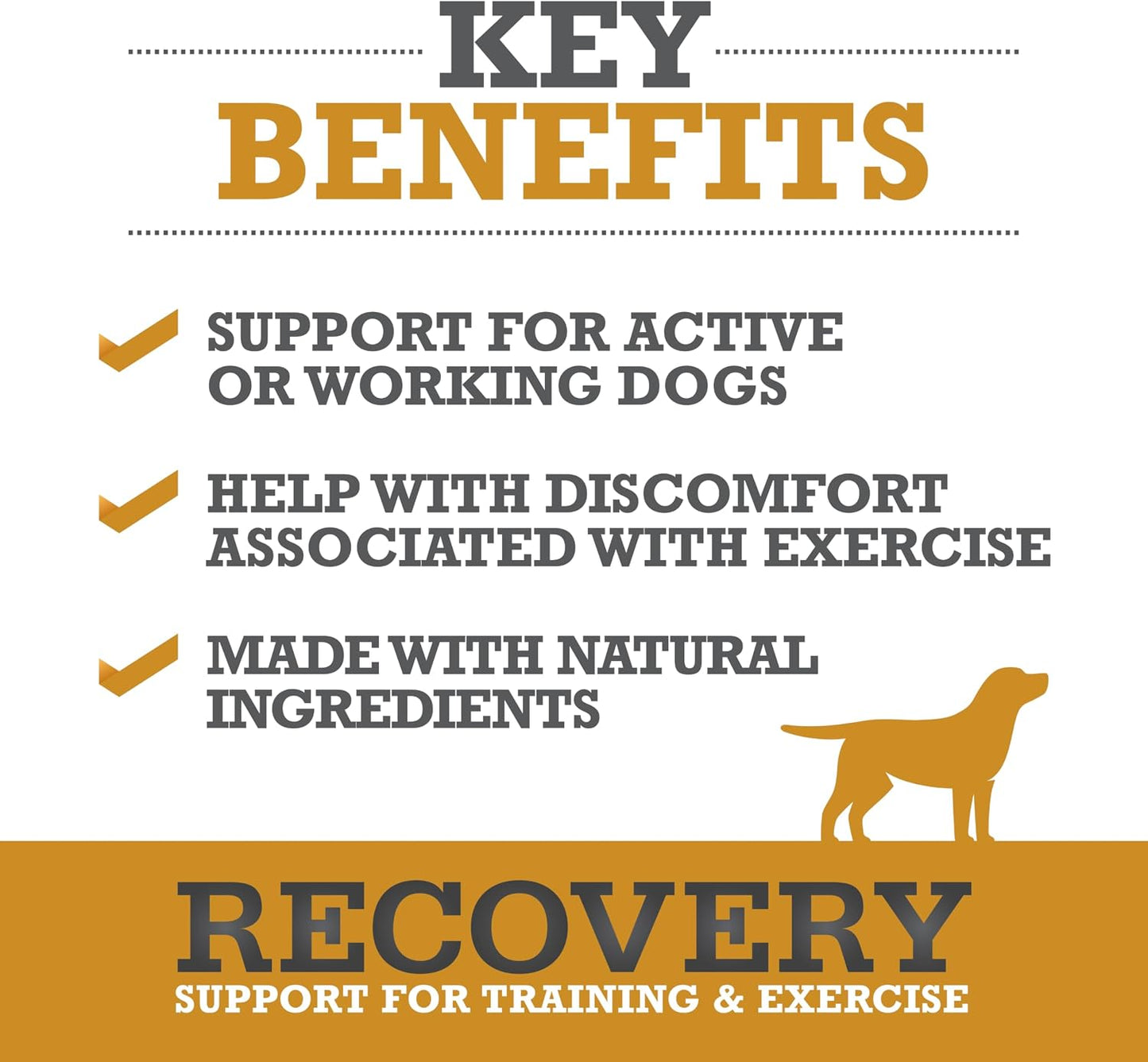 WINPRO Recovery Soft Chews for Dogs, Plasma-Powered Support for Healthy Inflammatory Response and Joint & Muscle Health, 60 Chews - görsel 2