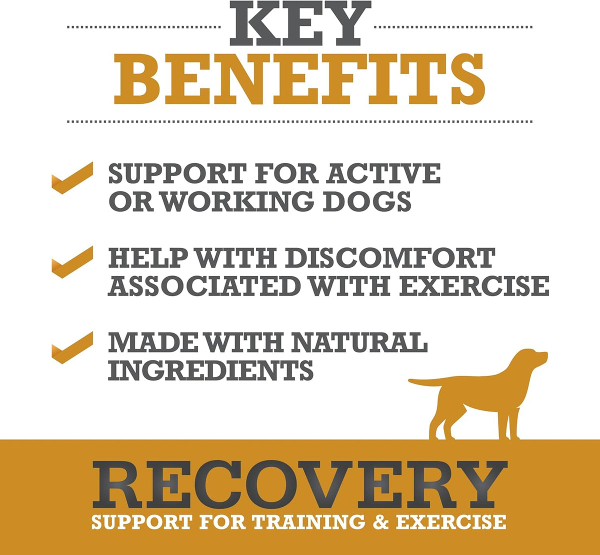 WINPRO Recovery Soft Chews for Dogs, Plasma-Powered Support for Healthy Inflammatory Response and Joint & Muscle Health, 60 Chews - görsel 2