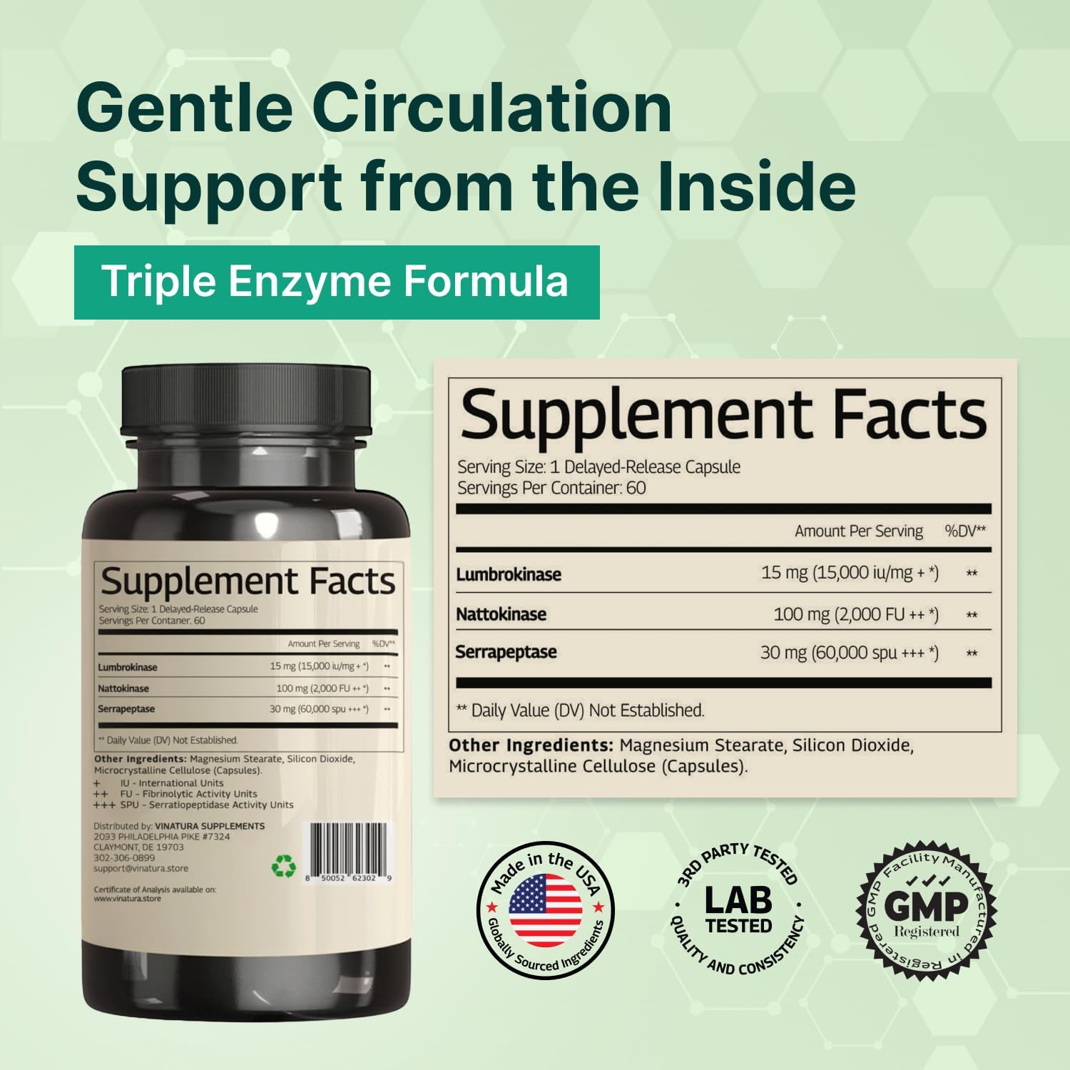 VINATURA Lumbrokinase Serrapeptase Nattokinase - Triple Enzyme Supplement for Blood Circulation Support - 60 Delayed-Release Capsules - görsel 2