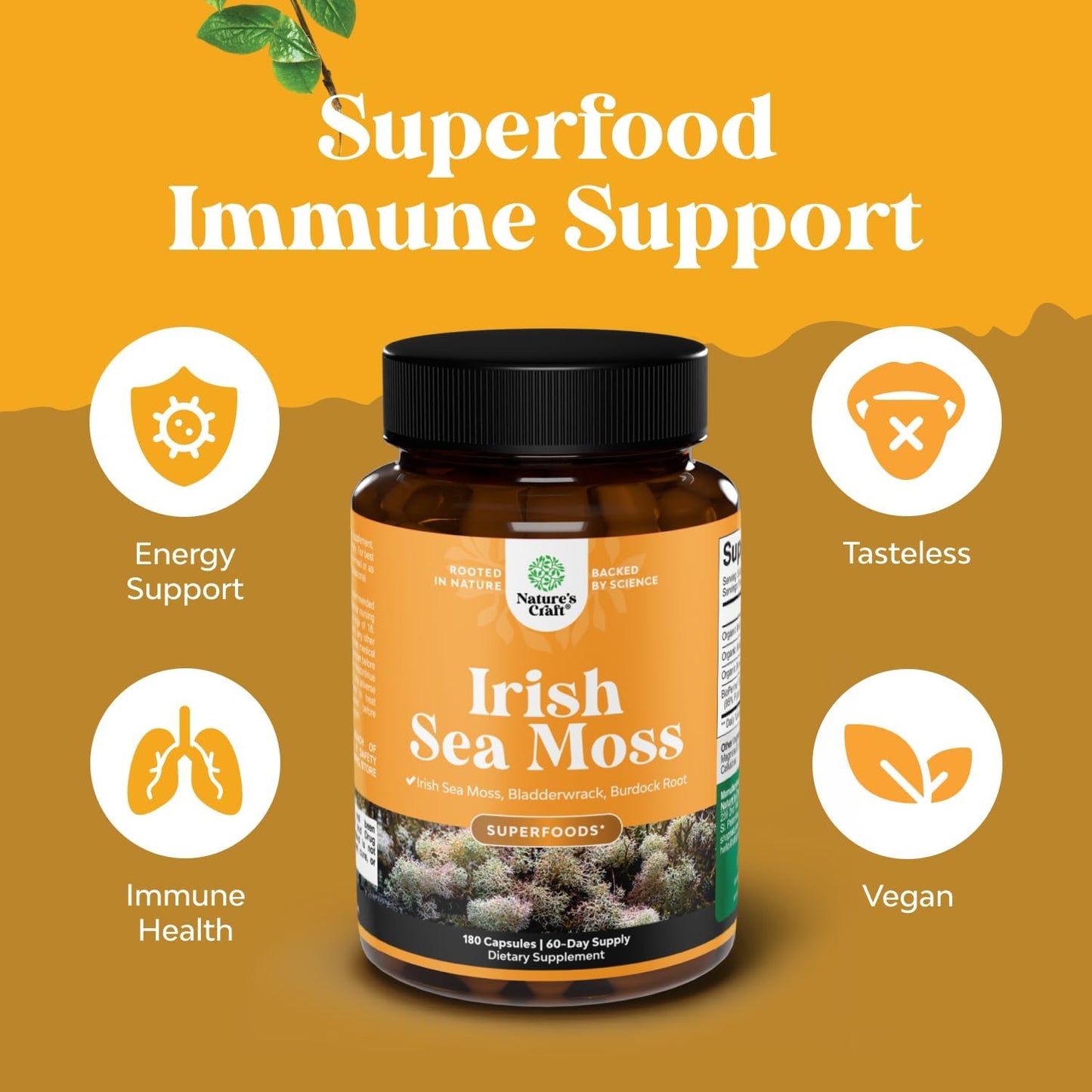 Natures Craft Irish Sea Moss Capsules - 2100mg Superfood Complex with Bladderwrack, Burdock Root and BioPerine for Immune, Thyroid and Digestive Support - Vegan, Non-GMO - 180 Count - görsel 2