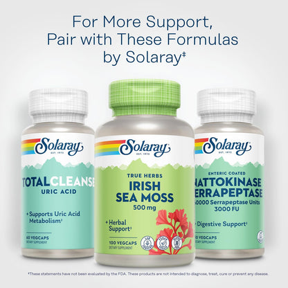 SOLARAY Irish Sea Moss 500 mg Naturally Occurring Vitamins, Minerals, and Fibre Herbal Support for Digestive Health and More – Vegan, Gluten-free, Lab Verified – 60-Day Guarantee – 100 Servings, 100 VegCaps